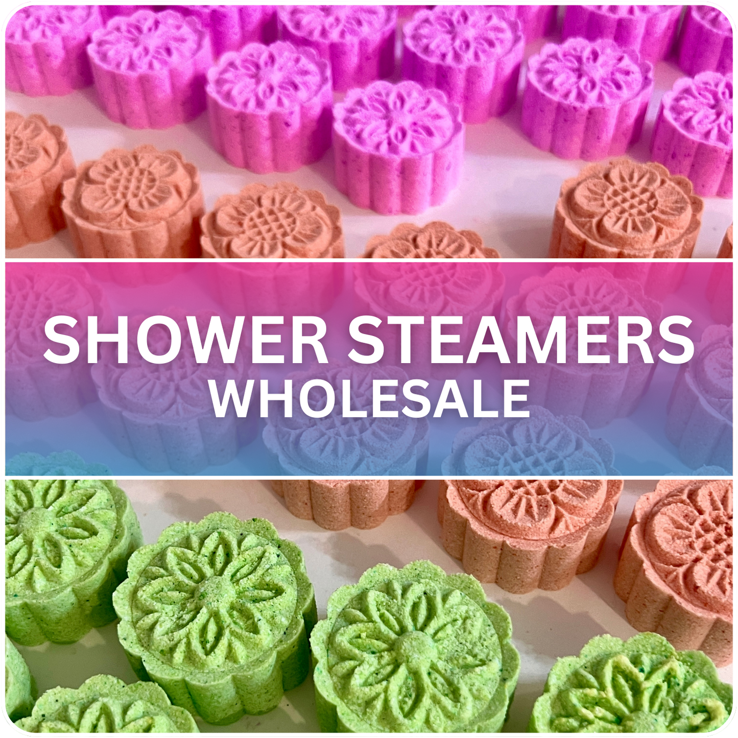 Whole Sale - Shower Steamers Pack 50